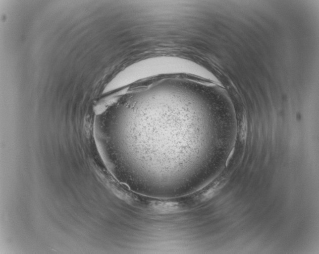 X0000052640476200507221820