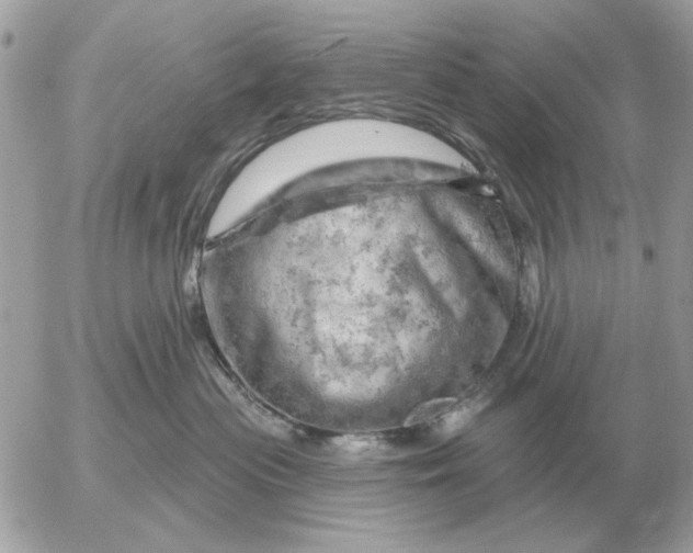 X0000052640477200507221820