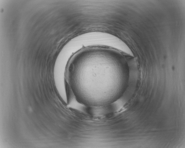 X0000052640478200507221820