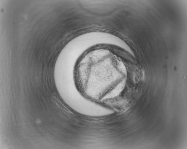 X0000052640479200507221820