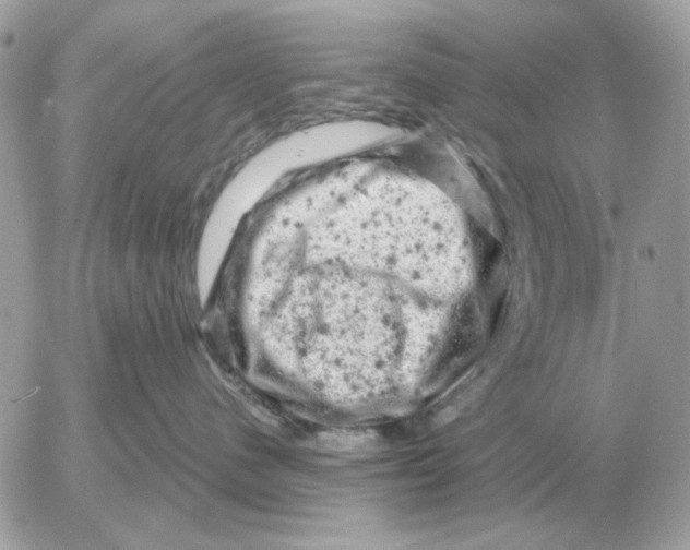 X0000052640480200507221820