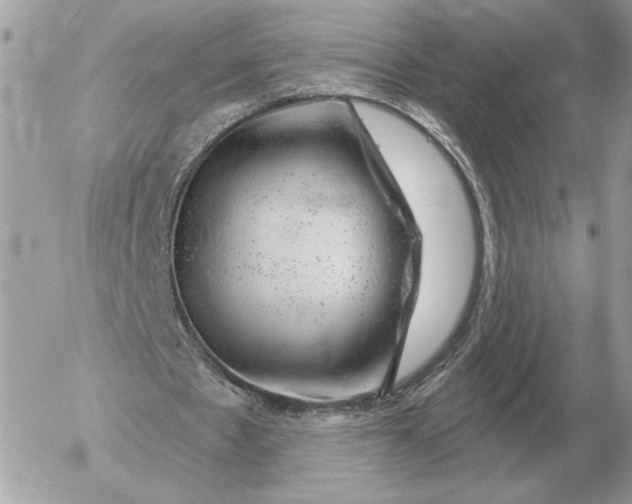 X0000052640481200507221819