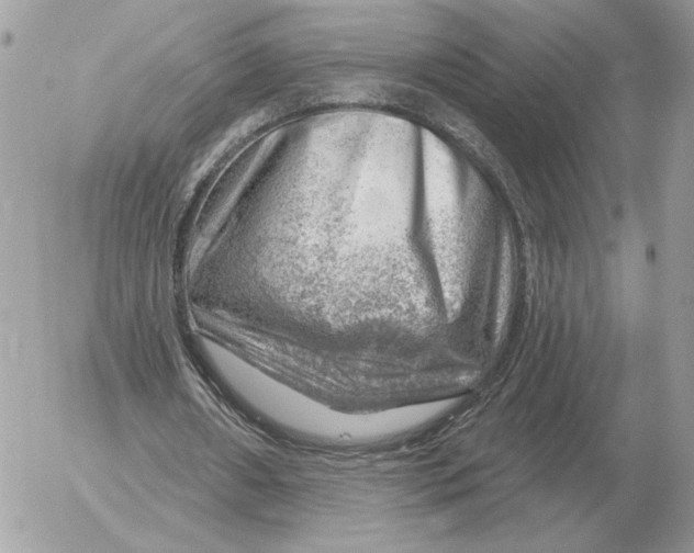 X0000052640482200507221819