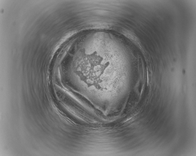 X0000052640483200507221819