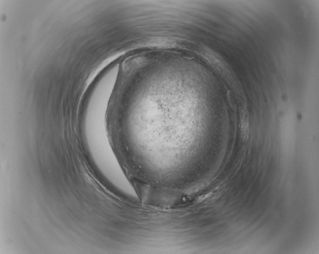 X0000052640484200507221819