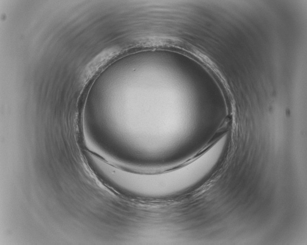 X0000052640485200507221819