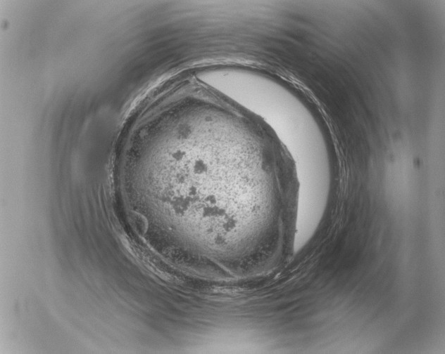 X0000052640487200507221819