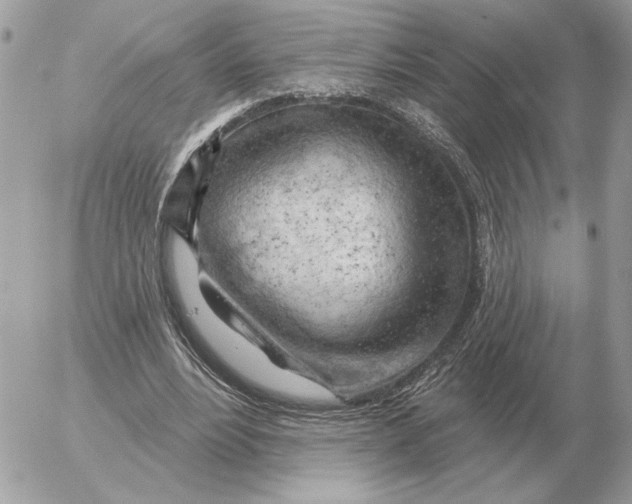 X0000052640488200507221819