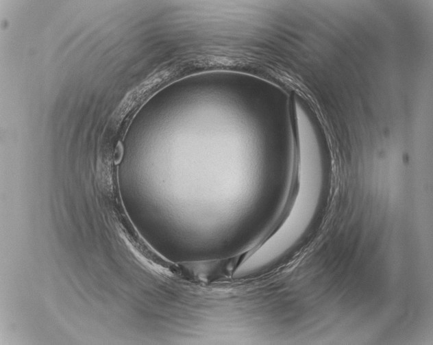 X0000052640489200507221819