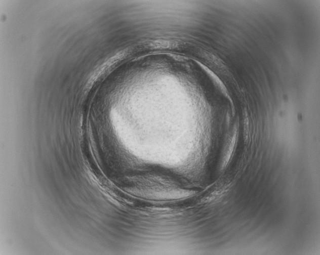 X0000052640490200507221819