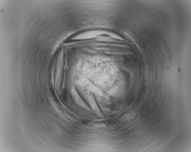 X0000052640491200507221819