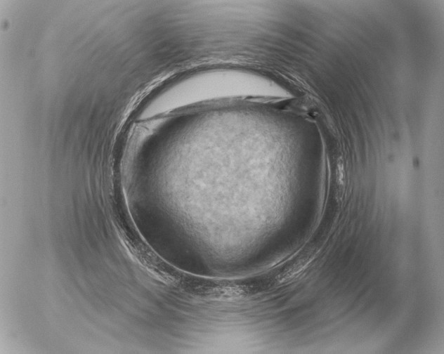 X0000052640492200507221819