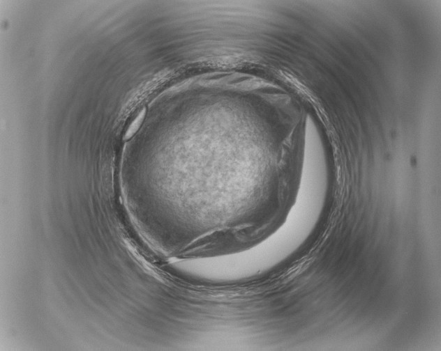 X0000052640493200507221819