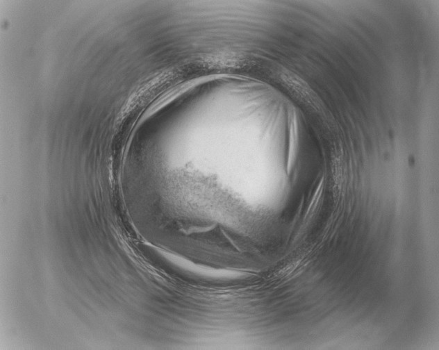 X0000052640494200507221819