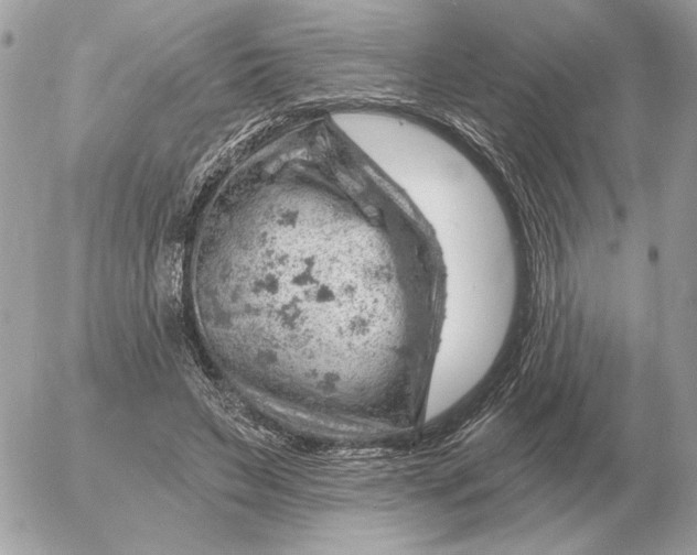 X0000052640495200507221819