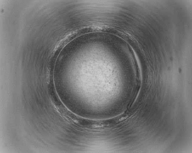 X0000052640496200507221819