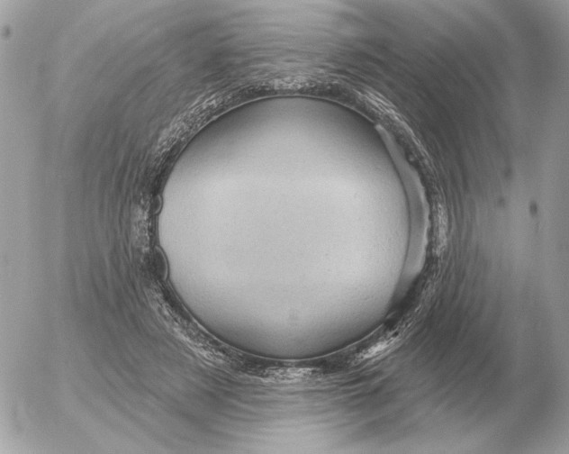 X0000052640497200507221819