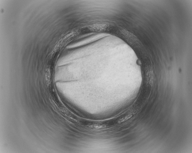 X0000052640498200507221819