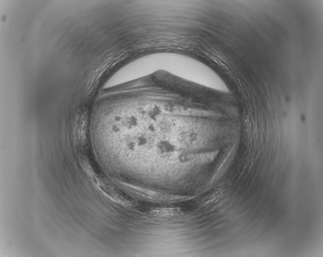 X0000052640499200507221819