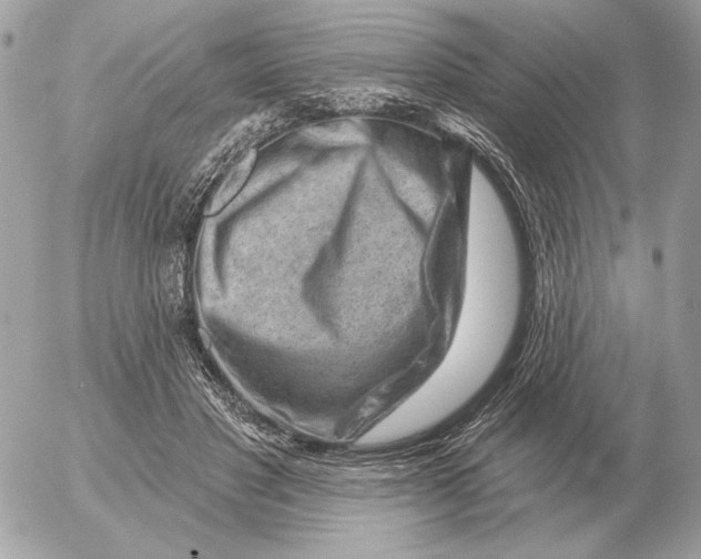 X0000052640501200507221819