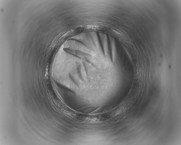 X0000052640502200507221819