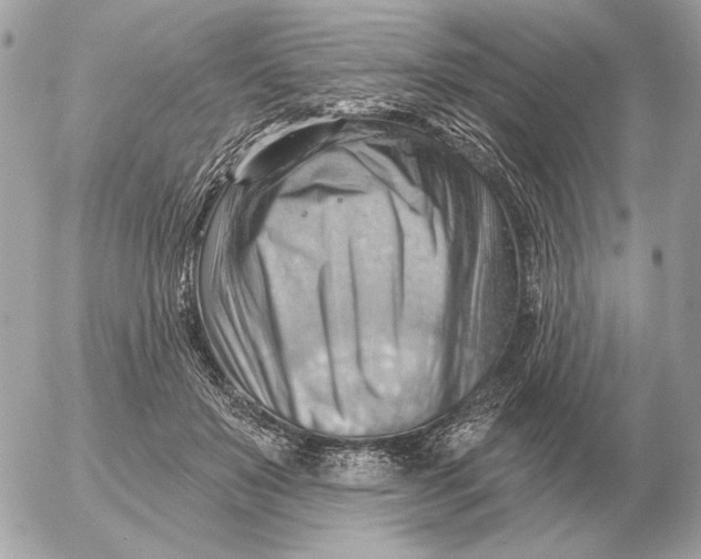 X0000052640503200507221819