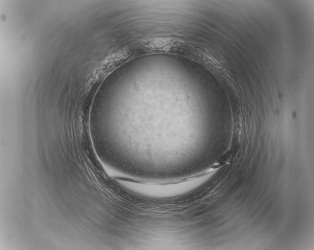 X0000052640504200507221819