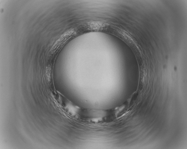 X0000052640505200507221819