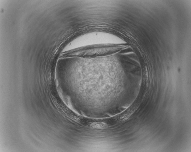 X0000052640508200507221819