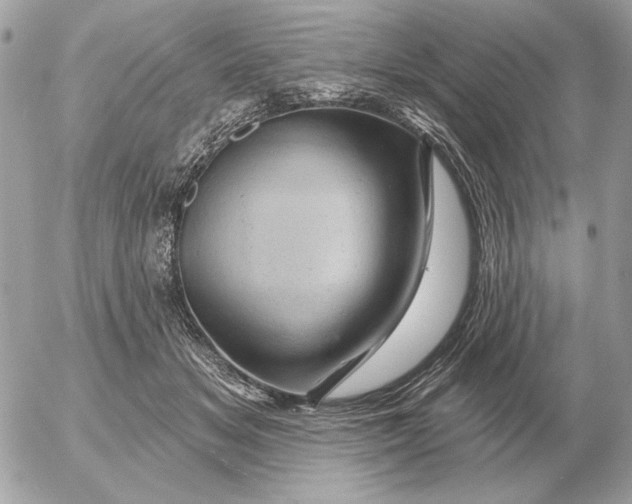 X0000052640509200507221819