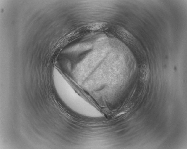 X0000052640510200507221819