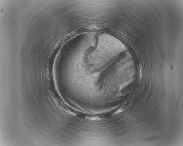 X0000052640512200507221819