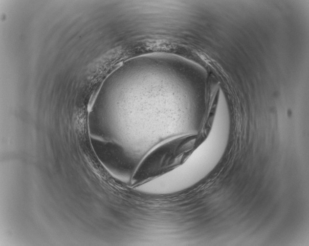 X0000052640513200507221819