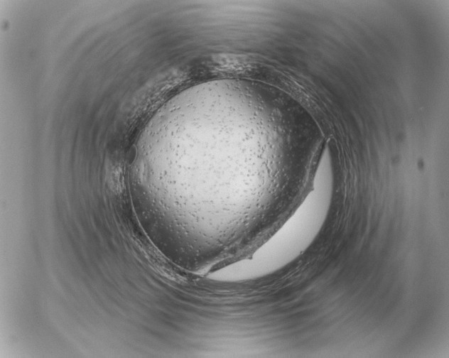 X0000052640514200507221819