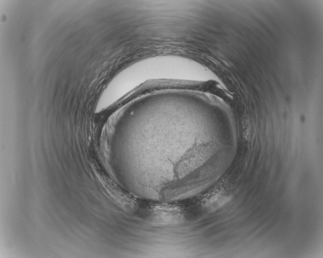 X0000052640515200507221819