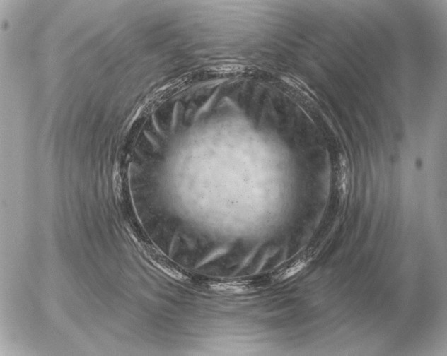 X0000052640516200507221819