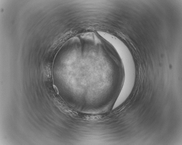 X0000052640517200507221819