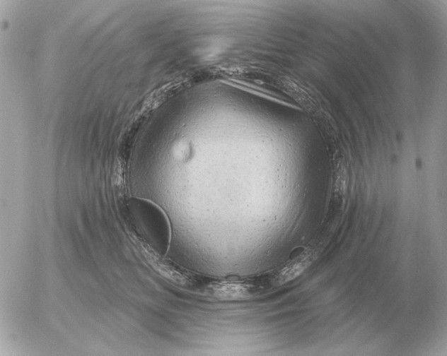 X0000052640518200507221819