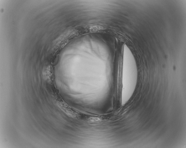 X0000052640519200507221819