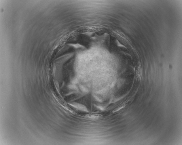 X0000052640520200507221819