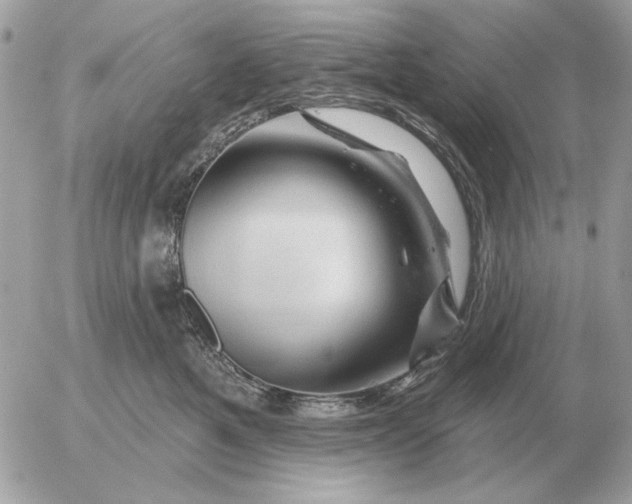 X0000052640521200507221819