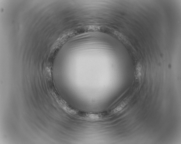 X0000052640522200507221819