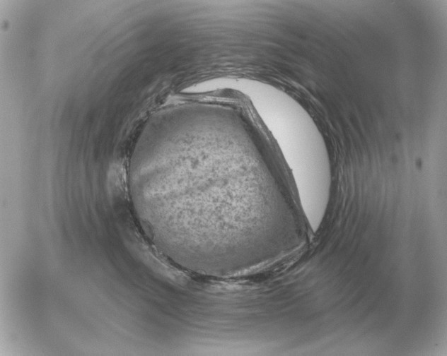 X0000052640523200507221819