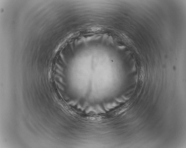 X0000052640524200507221818