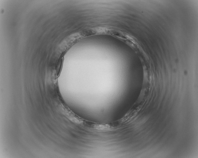 X0000052640525200507221818