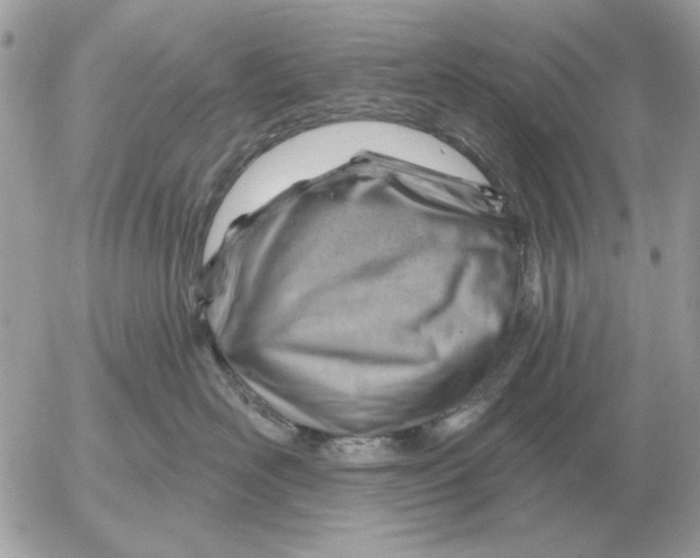 X0000052640526200507221818