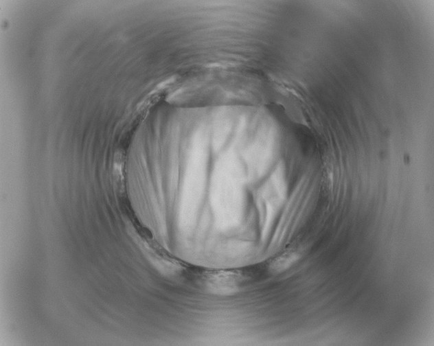 X0000052640527200507221818