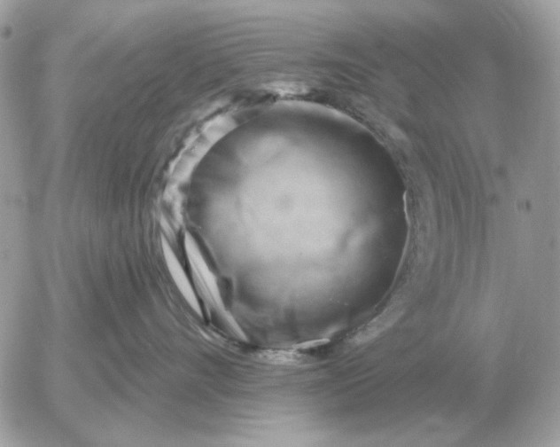 X0000052640528200507221818