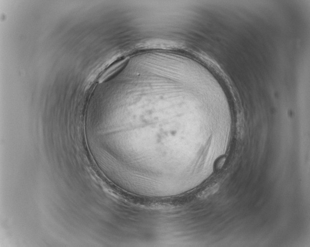 X0000052640529200507221818