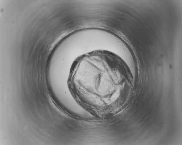 X0000052640530200507221818